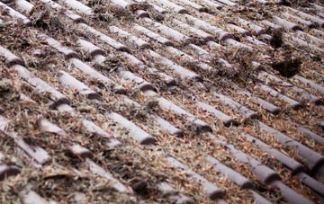 Fulking roof cleaning companies